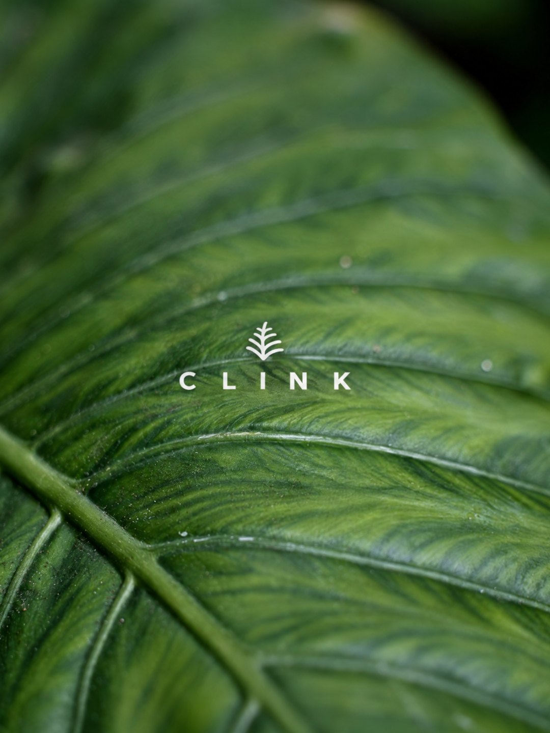 The Clink mark on a green leaf